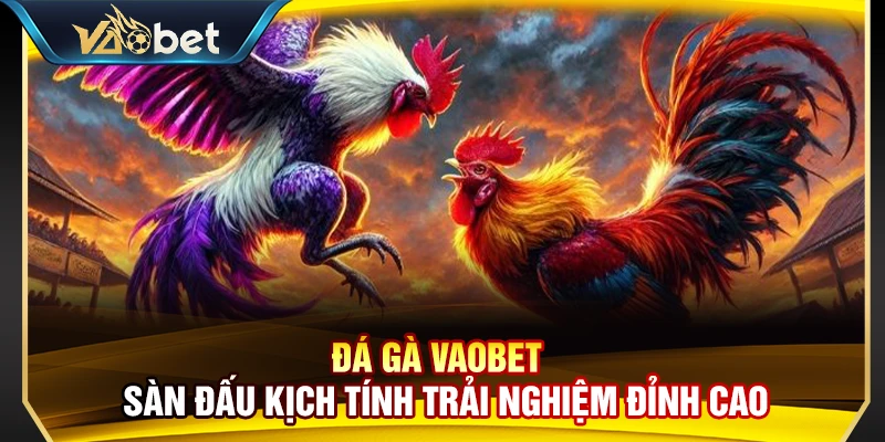 Đá Gà Vaobet – Sàn Đấu Kịch Tính Trải Nghiệm Đỉnh Cao