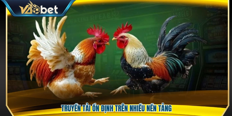 Phát sóng ổn định trên nhiều thiết bị và nền tảng