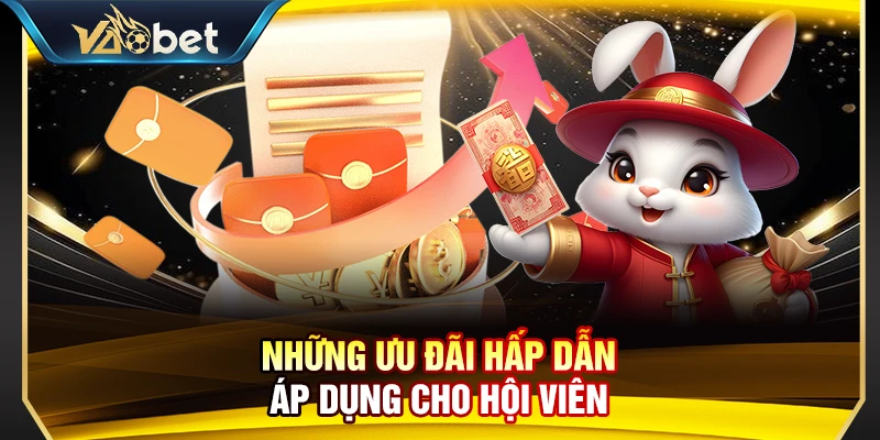 Những ưu đãi hấp dẫn áp dụng cho hội viên 